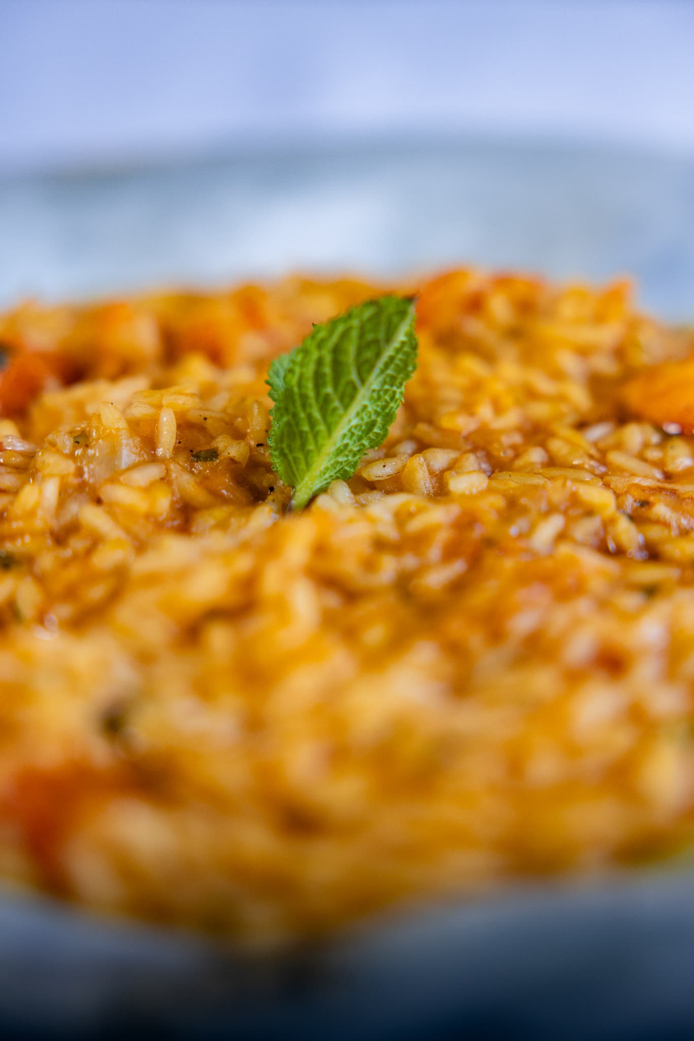 Risotto close-up